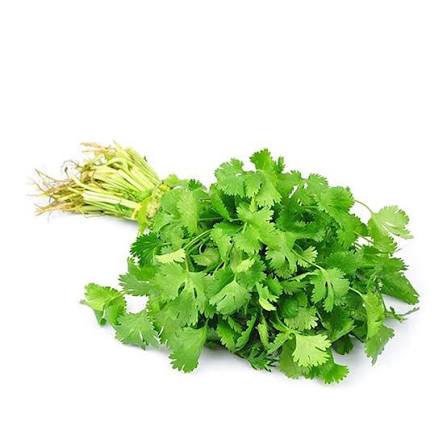 Fresh Coriander Leaf (Kothamalli) (Bunch Of 2)
