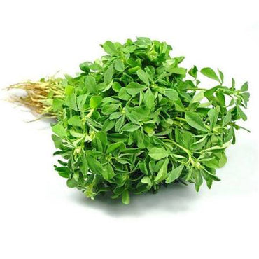 Fresh Methi Leaves (Fenugreek) (Bunch Of 2) � Farm Fresh Indian Herb