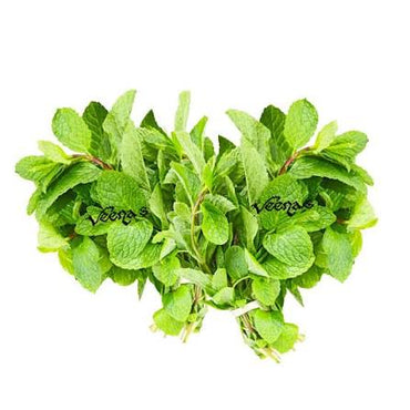 Fresh Mint Leaf (Pudina) (Bunch of 2)
